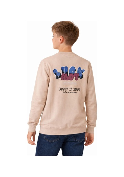 Baglan Erkek Çocuk Önü Arkası Baskılı Sweatshirt Bgl-st05237 Taş
