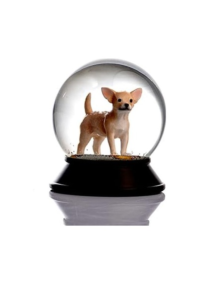 Cam Ve Reçine Altın Patiler Köpek Chihuahua Kayısı Kar Küresi Hediye