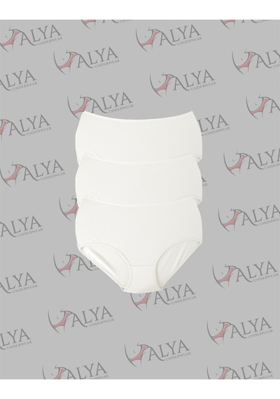 Alya Underwear Kadın Battal Külot - 3 Adet Ten 5xl, 6xl, 7xl Beyaz