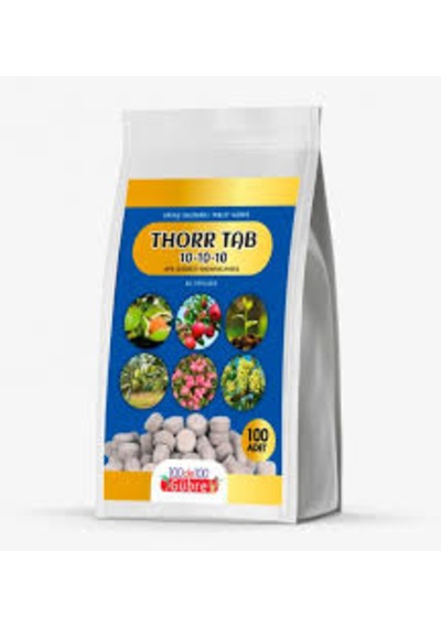 Thorr Tablet 10.10.10 Yavaş Salınımlı Akıllı Gübre 1 kg