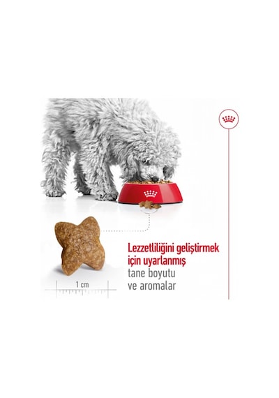 Mini Adult Küçük Irklar Için Yetişkin Kuru Köpek Maması 800 Gr