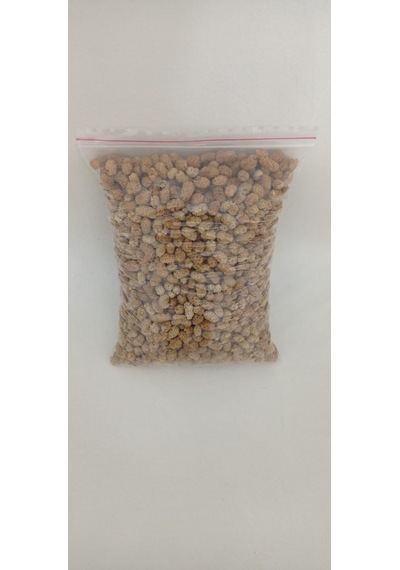 Burağın Bahçesi Kuru Dut 500 G
