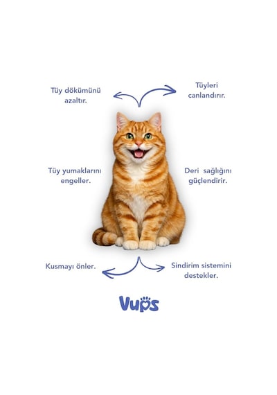 Multivitamin Kedi Malt Macunu 100 Gr