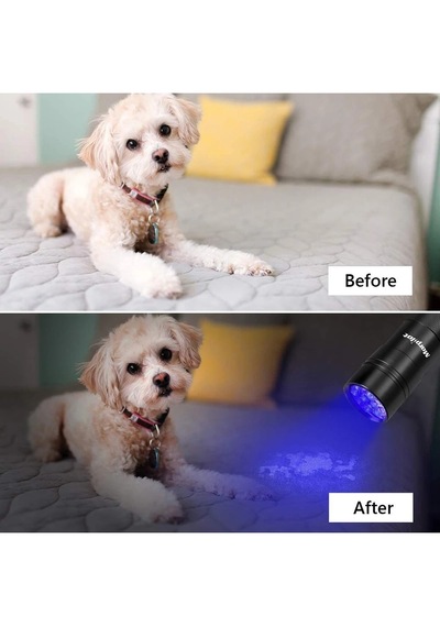 Uv Işık El Feneri 9 Led Ultraviyole Mor Işık Para Kontrol Doğal Taş İnceleme Evcil Hayvan Dışkı Tespiti Akrep Feneri Pilli Siyah