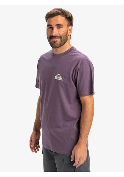 Quiksilver Ev Mini Logo Ss Erkek T-shirt-29760 Mor