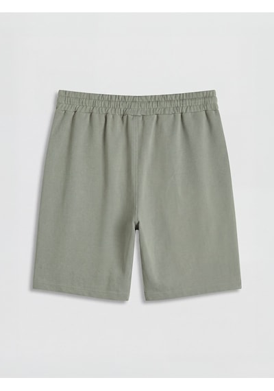 Lcwaıkıkı Classic Haki Regular Fit Erkek Şort