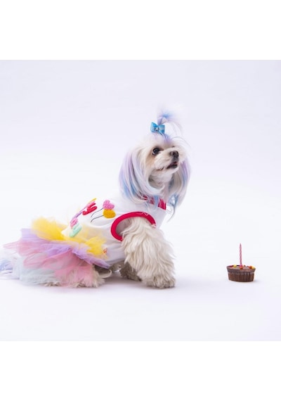 Happy Birthday Kedi Köpek Elbisesi - Kedi Köpek Kıyafeti