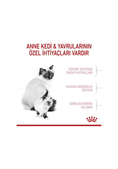 Royal Canin Mother & Baby Cat Yavru Kedi Maması 400 G