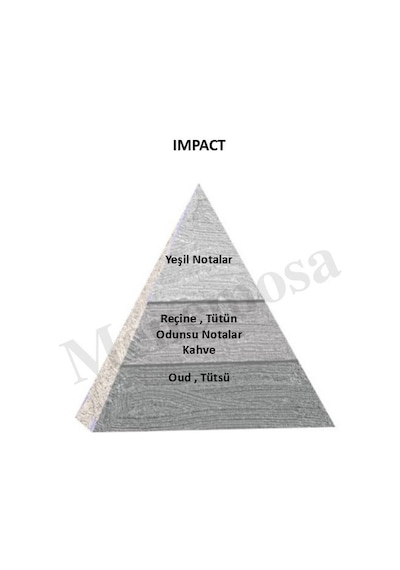 Bargello  Impact + Impact Unisex Parfüm Edp Woody - Mnmsımp2 Odunsu