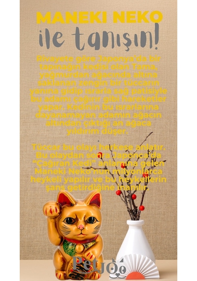 Petjoo 4.Maneki Neko Gri-Sarı Qr'lı Kedi Künyesi