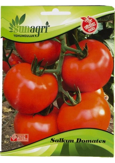 Domates Salkım Tohum
