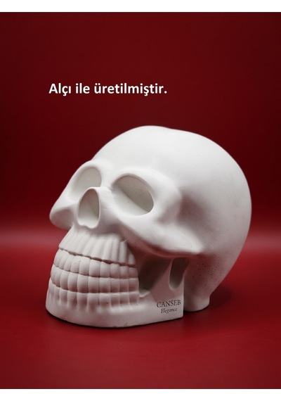 10cm Kuru Kafa Heykeli - Dekoratif Obje Biblo 00574992