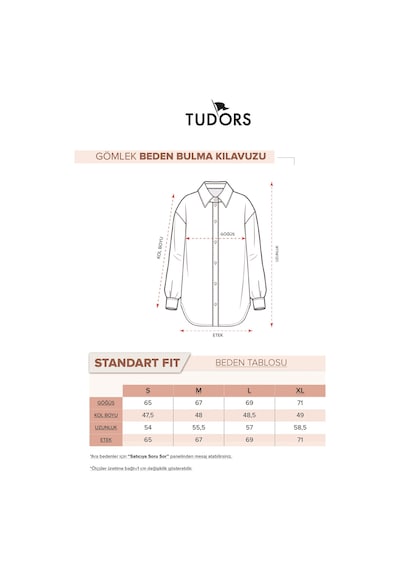 Tudors Kadın Standart Fit Viskon V Yaka Çizgili Gömlek-33550 Çok Renkli