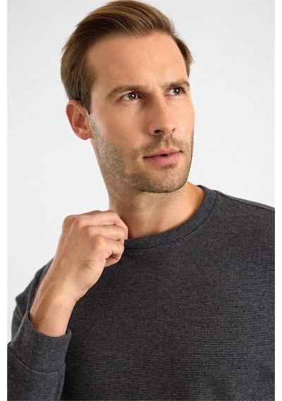 Süvari Antrasit Regular Düz Bisiklet Yaka Sweatshirt Ssw2013700003-s08