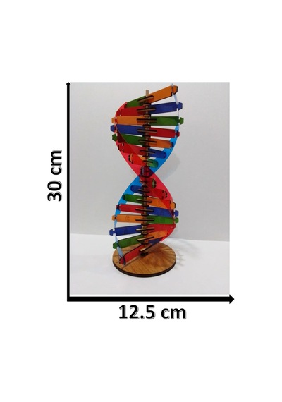 Modeli Eğitici Ahşap Seti 30cm