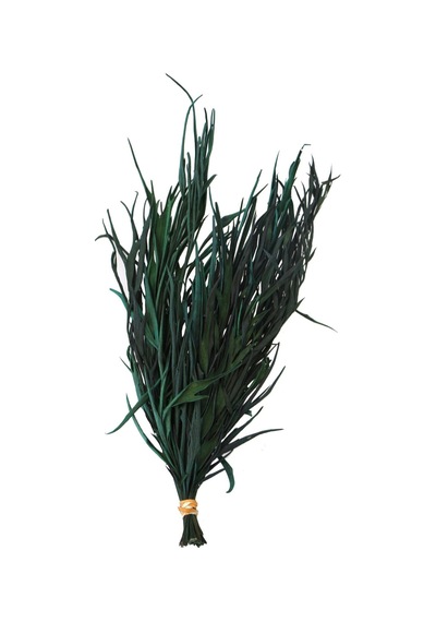 Dekoratif Kurutulmuş Yeşil Mini Bitki 20 Cm Gavellia Leaves Yeşil