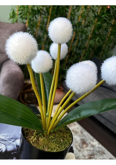 Yapay Çiçek Beyaz Pompon Çiçeği Dekoratif Yapay Çiçek 30 20cm