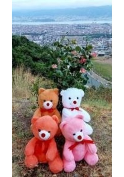 Oyuncak Peluş Ayı 55 Cm Çok Renkli