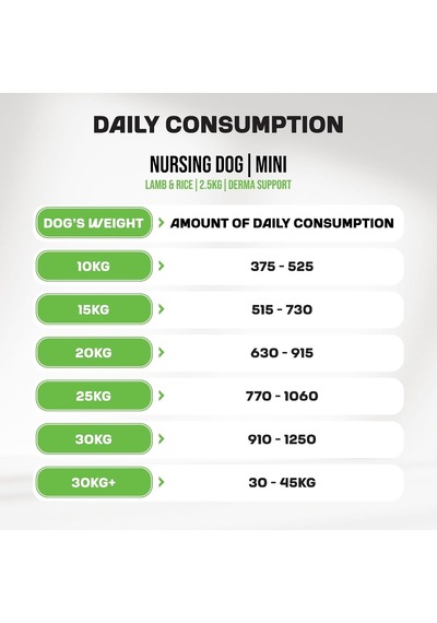 Food Yavru Köpek Maması Mini Irk Kuzulu 2,5 Kg