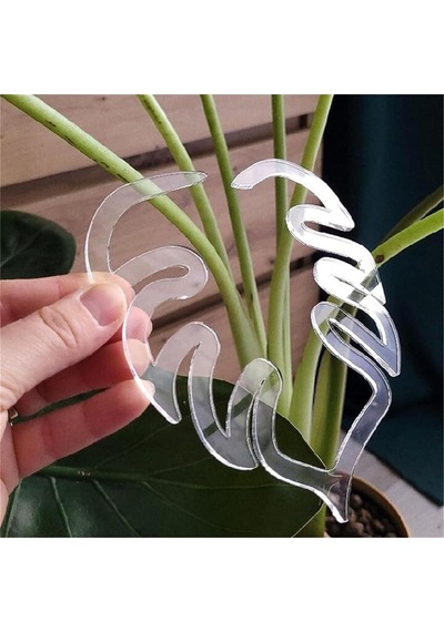 Açık Bitki Kök Destek Sahibi Monstera Yaprak Tesisi Dış Ve İç Mekan Bitkileri İçin Destek B