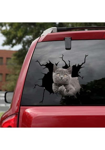 Araba Arka Gri Kedi Sticker Yapıştırma 17Cm A8
