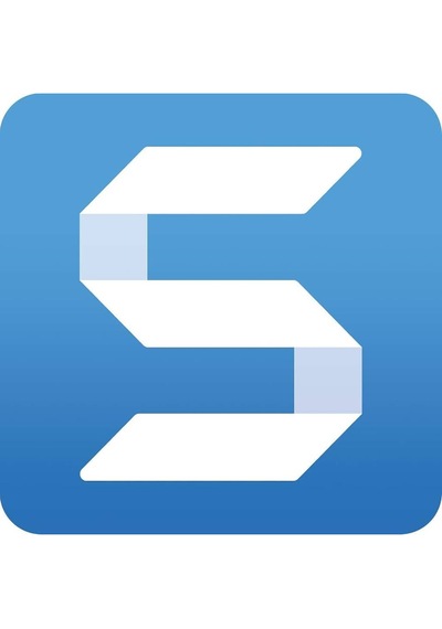 Techsmith Snagit 13 Windows - 1 Pc Ömür Boyu Abonelik Kodu