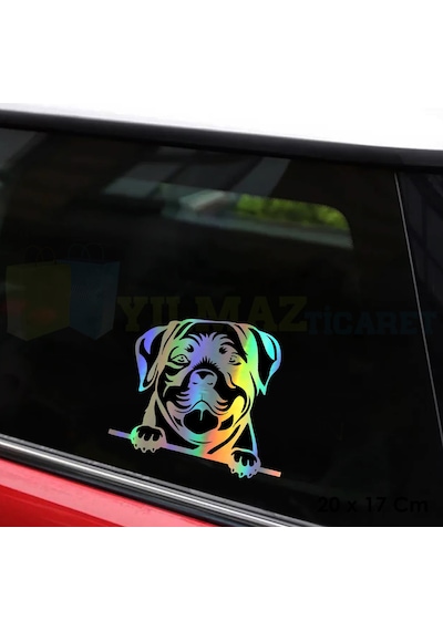 Bakan Köpek Araba Hologram Oto Sticker Cam Yapıştırma Etiket