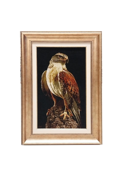 İran El Dokuması Tablo Halı Şahin Ebat: 40 X 76 Cm Çok Renkli