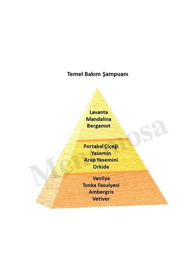 Bargello Temel Bakım Şampuanı 250 ML