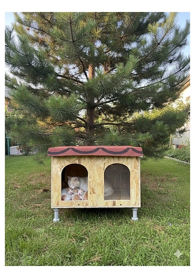 Dabanlıoğlu Dış Mekan Xxl Su Ve Rüzgar Geçirmez Demonte Kedi Evi Sokak Hayvanları Kedi Köpek