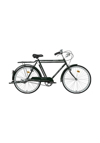 BİSAN ROADSTAR GL HİZMET BİSİKLETİ 58CM V 26 JANT 1 VİTES YEŞİL SİYAH BEYAZ