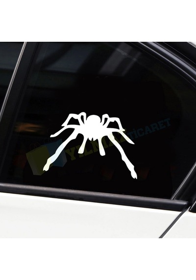 Örümcek Oto Sticker Araba Etiket Yapıştırma Süper Sürpriz  20 Cm 13 Cm