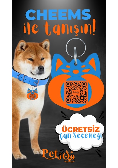Petjoo 18.Cheems Turuncu-Mavi Qr'lı Köpek Künyesi