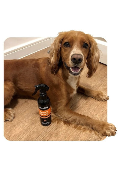 Animology Dirty Dawg Durulama Gerektirmeyen Sprey Köpek Şampuanı 250 Ml