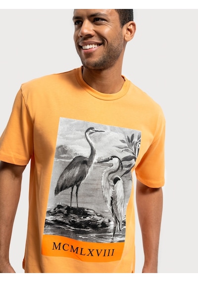 Loose Fit Erkek Tshirt K.kol Aprıcot