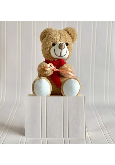 Peluş Ayıcık