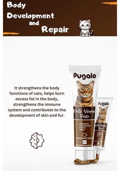 Kedi Multivitamin Paste Prebiotic Ve Biotin Katkılı Kedi Multi Vitamin Macunu 100 Ml