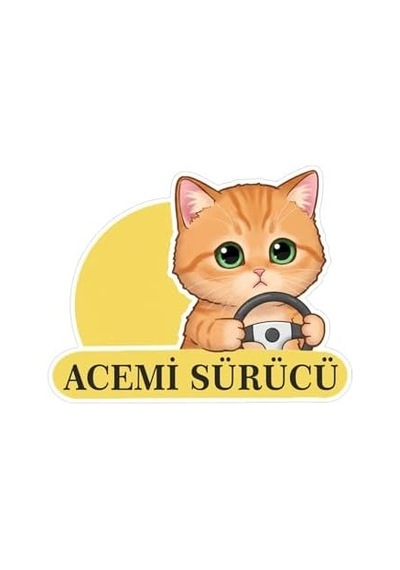 Parti Tasarla Acemi Sürücü Sevimli Kedi Araba Etiketi & Sticker Çok Renkli "
