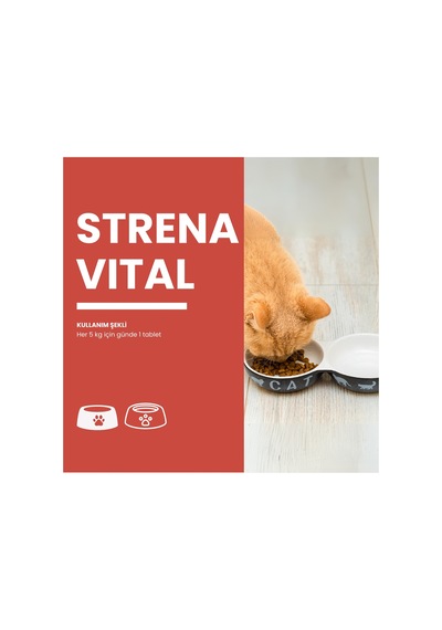 Strenavital Kedi Ve Köpekler İçin Tablet