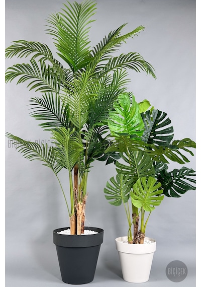 Biçiçek Yapay Areka Palmi̇yesi̇ Ve Monstera Ağacı Yali Saksıda