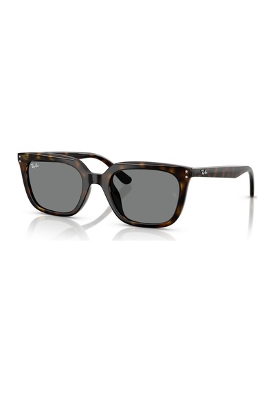 Rayban Rb4439d 71087 Kadın Güneş Gözlüğü Kahverengi - Leopar