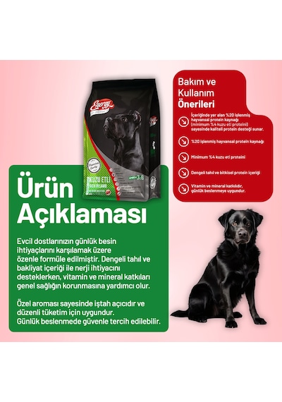Dog Food Energy Kuzu Etli Yetişkin Köpek Maması - 3 Adet