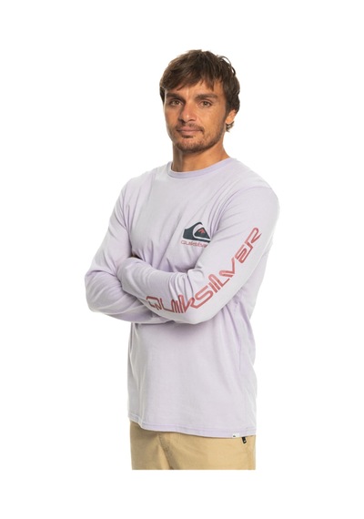 Quiksilver Eqyzt07233 Omnilogo M Tees Erkek Tişört 001 Lila