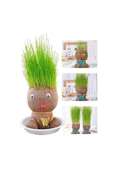 Çim Adam Yapım Seti 1 Paket Okul Eğitici Deney Seti Çim Adam Seti