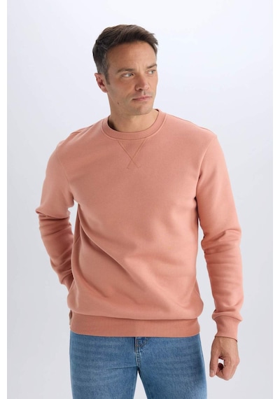 DeFacto Regular Fit Bisiklet Yaka Kalın Basic Düz Sweatshirt T3777AZ25SPPN602