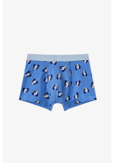 Penti Erkek Çocuk Mavi Paws For Joy Pamuklu 3lü Boxer
