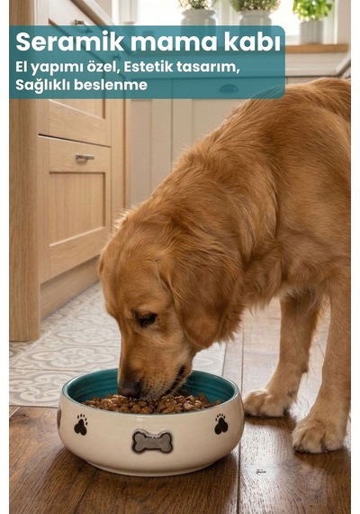 Tekli Seramik Kemik Desenli 600 Ml Mavi-mama Kabı Kedi Köpek Mama Su Kabı
