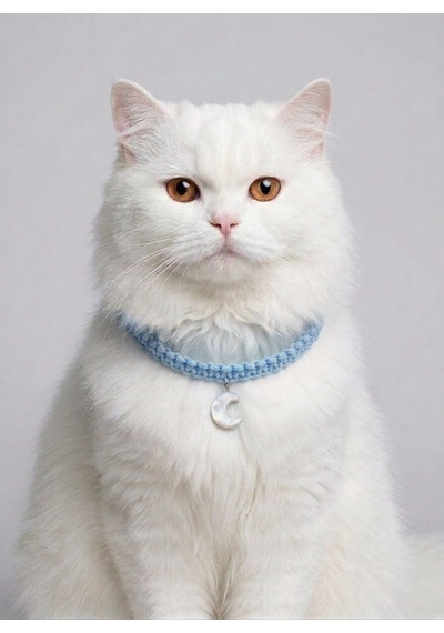 Mavi El Örgüsü Makrome Kedi Tasması 27 Cm - Ay Figürlü Charm Şık Kedi Boyun Tasması