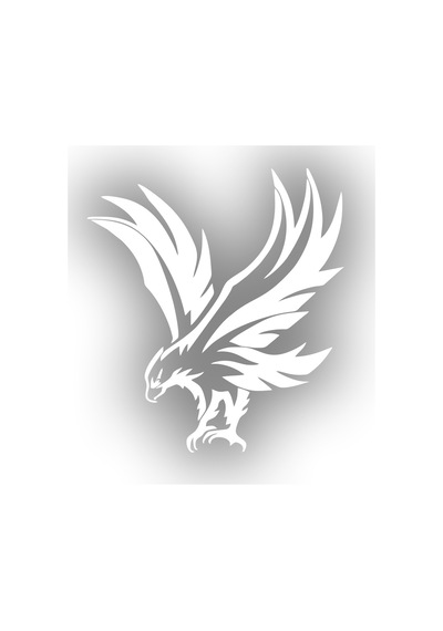 Kartal Araba Sticker 17x17 Cm Beyaz