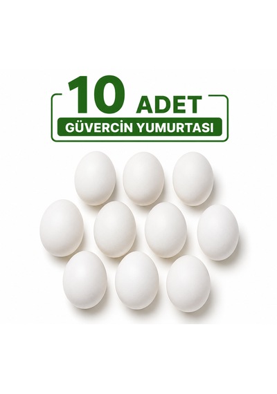Güvercin Sahte Yumurta 10 Adet